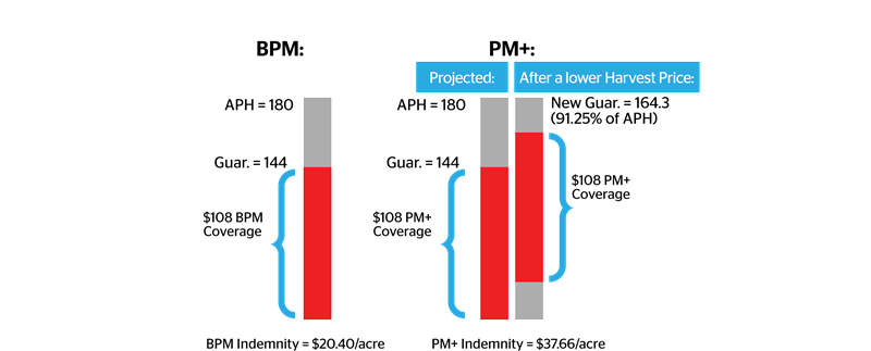 PM+ example PM+ example