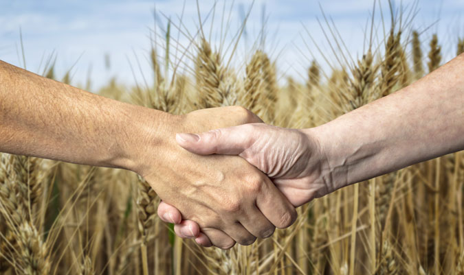 Handshake 2025 Loss Guidelines Important Notes